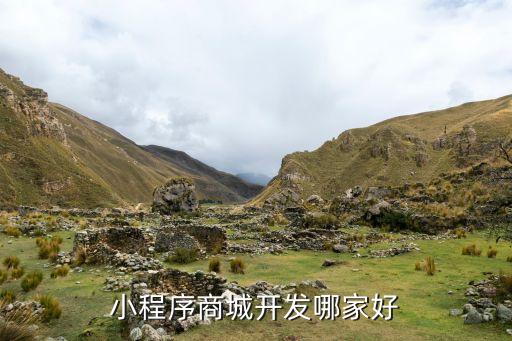 小程序商城开发哪家好