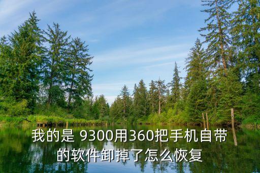 9300删除了系统软件,vivo手机怎么删除系统软件