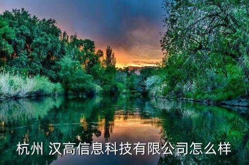 杭州 汉高信息科技有限公司怎么样