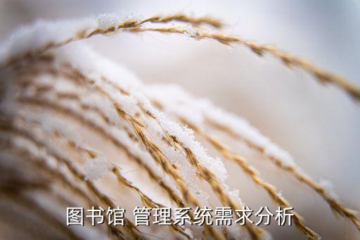 图书馆 管理系统需求分析