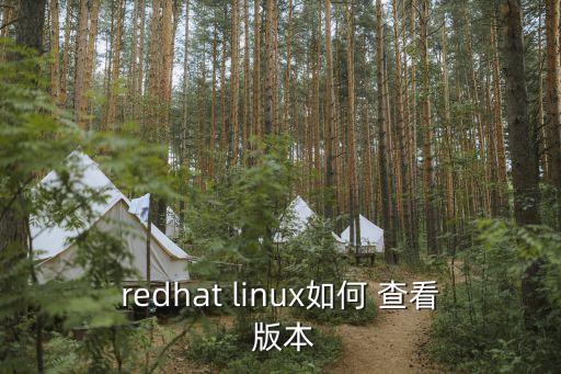 redhat linux如何 查看 版本