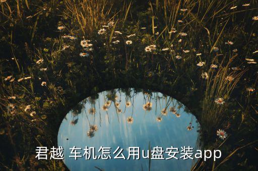 车机系统软件安装,wince车机系统软件