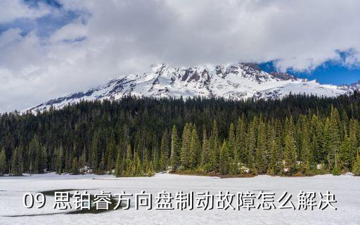 思铂睿车载系统软件