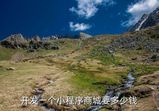 开发一个小程序商城要多少钱