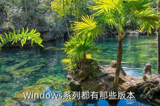 五个系统软件名称,五种防火墙软件名称