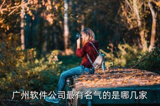 回转支承管理系统软件厂家,费控管理系统软件厂家