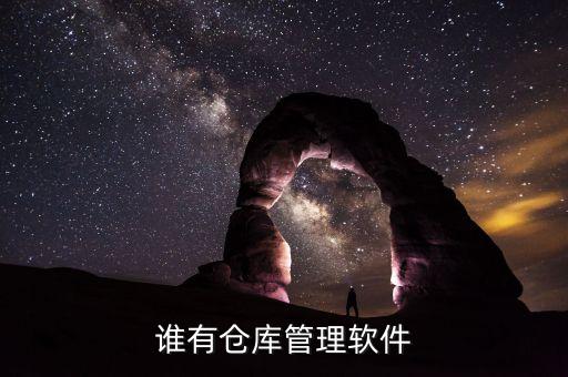 谁有仓库管理软件