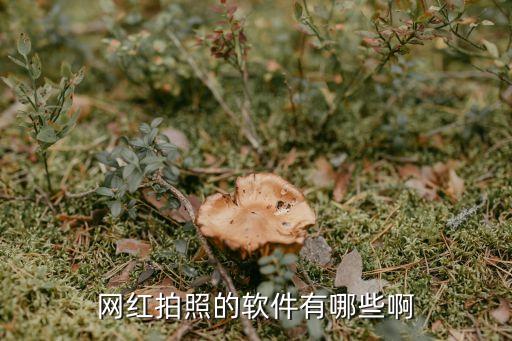 网红拍照的软件有哪些啊