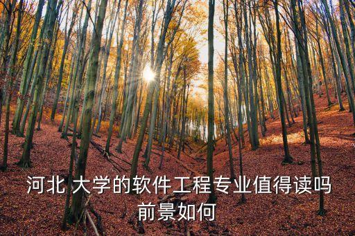  河北 大学的软件工程专业值得读吗前景如何