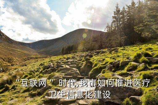 “互联网 ”时代,我市如何推进医疗 卫生信息化建设