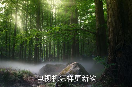  电视机怎样更新软