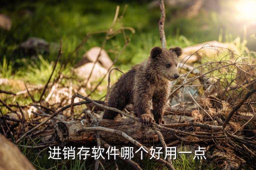 进销存软件哪个好用一点