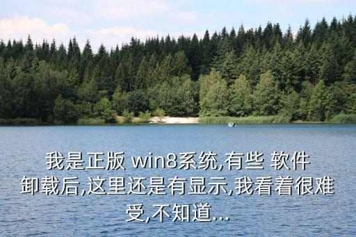 我是正版 win8系统,有些 软件卸载后,这里还是有显示,我看着很难受,不知道...