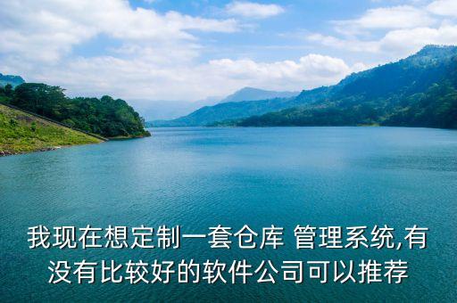 我现在想定制一套仓库 管理系统,有没有比较好的软件公司可以推荐
