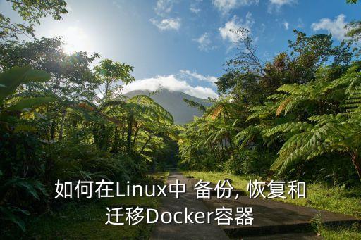 如何在Linux中 备份, 恢复和迁移Docker容器