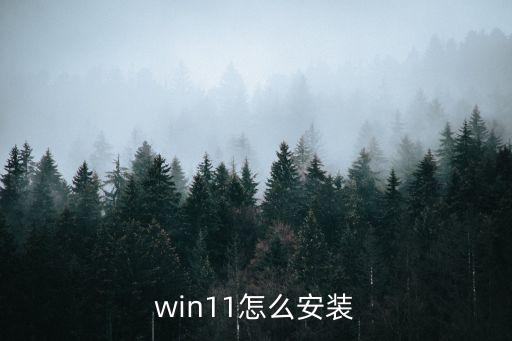 正版系统软件下载安装
