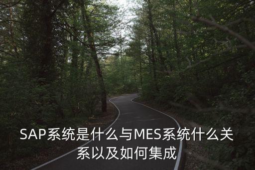 sap对接wms系统软件