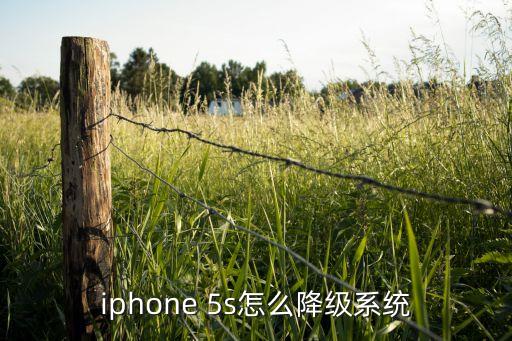回复苹果5s系统软件
