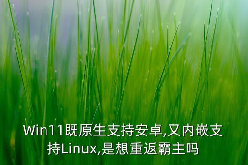 win11安卓子系统软件