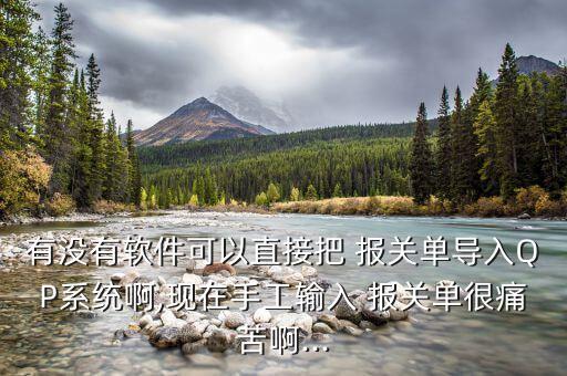 有没有软件可以直接把 报关单导入QP系统啊,现在手工输入 报关单很痛苦啊...