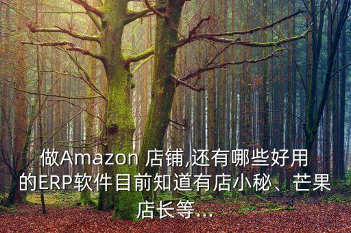 做Amazon 店铺,还有哪些好用的ERP软件目前知道有店小秘、芒果店长等...