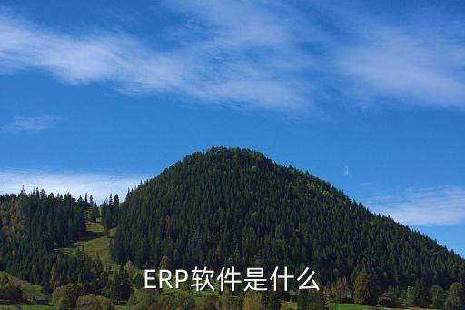ERP软件是什么