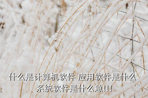应用软件 系统软件是什么