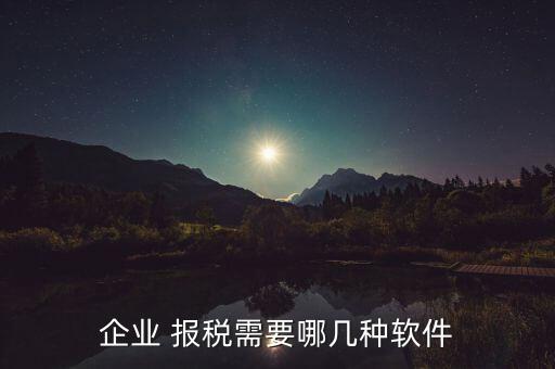 模拟税局报税系统软件