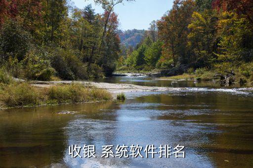 扫码系统软件哪家好,餐饮扫码点餐系统软件