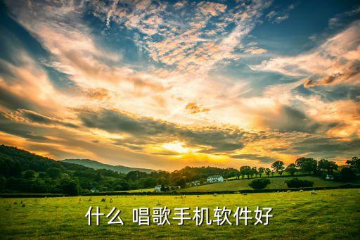 唱歌系统软件哪个好点用