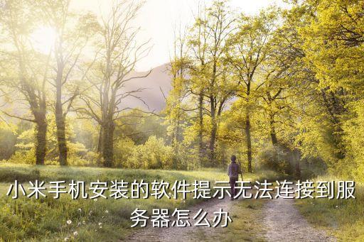 MIUI系统软件连不了网,高仿MIUI系统软件