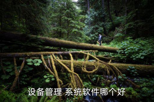 设备管理 系统软件哪个好