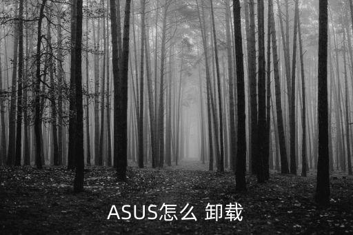 ASUS怎么 卸载
