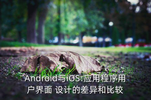 ios系统软件设计