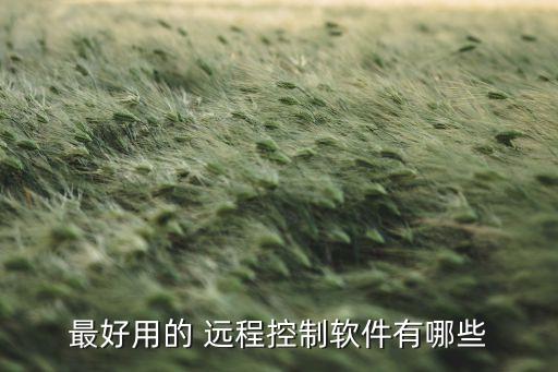 远程电脑操控系统软件,华晨中华远程系统软件