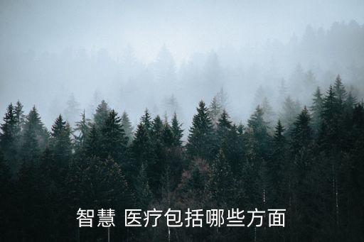 智慧 医疗包括哪些方面