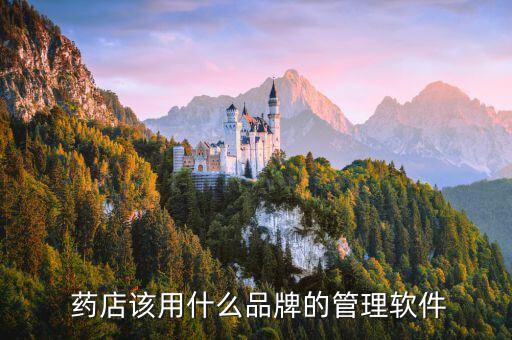  药店该用什么品牌的管理软件