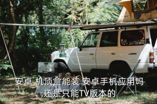  安卓 机顶盒能装 安卓手机应用吗,还是只能TV版本的