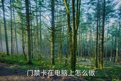发卡门禁系统软件,小区门禁系统手机开门软件