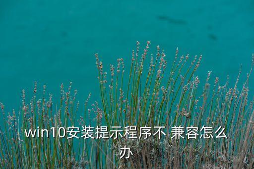 win10安装提示程序不 兼容怎么办