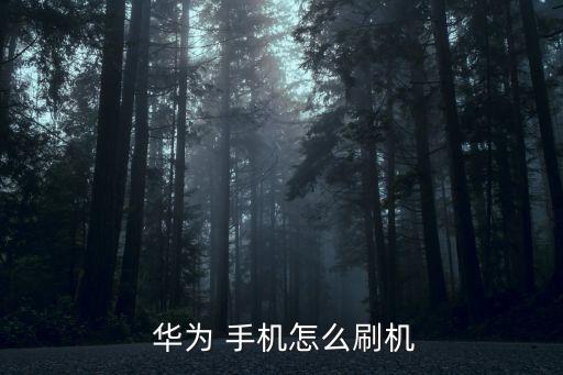  华为 手机怎么刷机