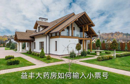 益丰大药房如何输入小票号