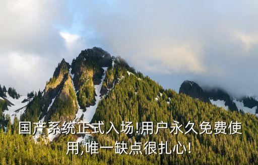  国产系统正式入场!用户永久免费使用,唯一缺点很扎心!