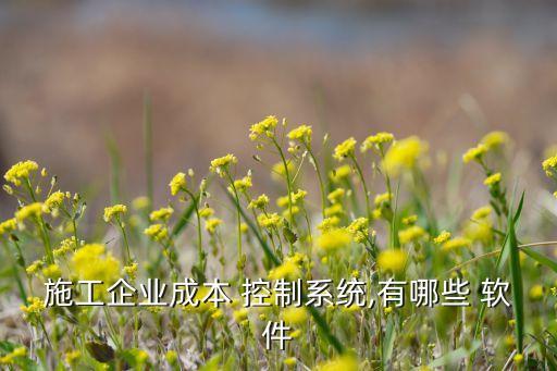 施工企业成本 控制系统,有哪些 软件