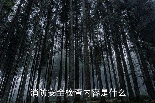  消防安全检查内容是什么