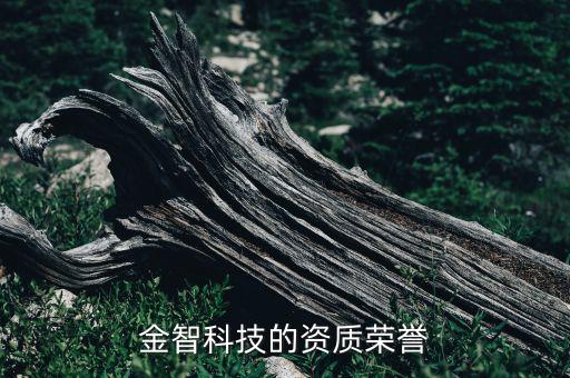 金智科技的资质荣誉