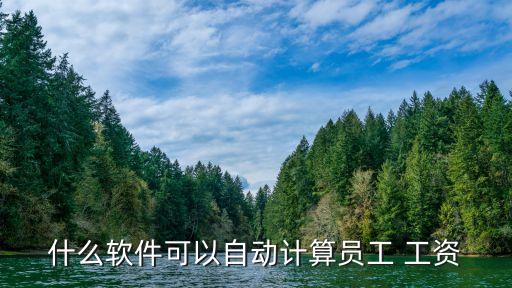 什么软件可以自动计算员工 工资