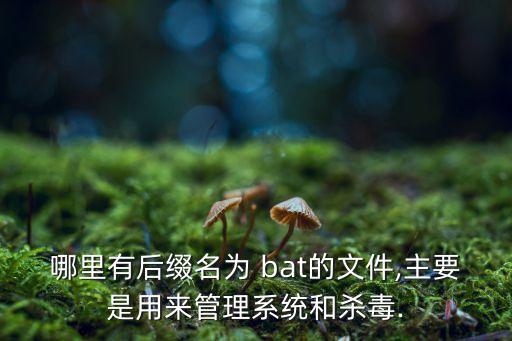 哪里有后缀名为 bat的文件,主要是用来管理系统和杀毒.