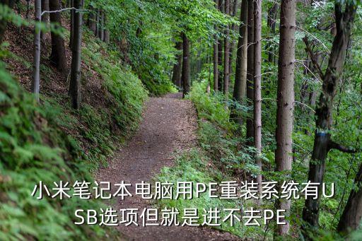  小米笔记本电脑用PE重装系统有USB选项但就是进不去PE