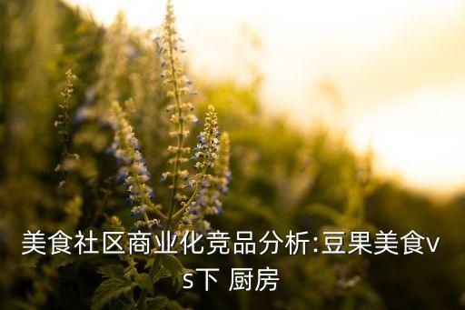 美食社区商业化竞品分析:豆果美食vs下 厨房